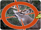 เกมส์ล่ากวาง Deer Sniper 2014 Game