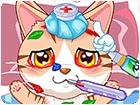เกมส์คุณหมอรักษาสัตว์ Pet hospital doctor