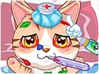 เกมส์คุณหมอรักษาสัตว์ Pet hospital doctor