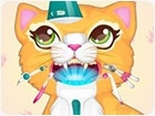 เกมส์ถอนฟันน้องแมว Precious Kitty Dentist