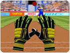 เกมส์รับลูกคริกเก็ต Cricket Fielder Challenge Game