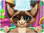 เกมส์อาบน้ำลูกแมว Kitten Bath