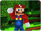 เกมส์มายคราฟซุปเปอร์มาริโอ้ Minecraft Super Mario Game