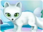 เกมส์อาบน้ำสัตว์เลี้ยงแสนรัก Paws to Beauty: Arctic Edition