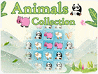เกมส์จับคู่เชื่อมโยงรูปสัตว์ Animals Collection Game