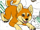 เกมส์ระบายสีภาพสัตว์เลี้ยง Color Me Pets 2