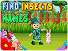 เกมส์หาชื่อแมลงภาษาอังกฤษ Find Insects Names Game