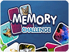 เกมส์จับคู่เปิดป้ายทดสอบความจำ Memory Challenge Game