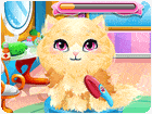 เกมส์เก็บแมวมาเลี้ยง Stray Kitty Care