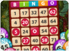 เกมส์บิงโก Bingo King