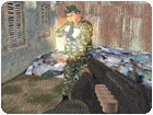 เกมส์ทหารหน่วยรบแนวหน้า Frontline Commando Survival