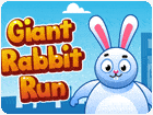 เกมส์กระต่ายวิ่งเก็บเหรียญ Giant Rabbit