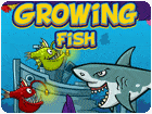 เกมส์ปลากินปลา3คน Growing Fish