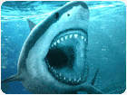 เกมส์ฉลามจอมโหดกินคน Hungry Shark