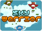 เกมส์นักรบขับเครื่องบินต่อสู้ Sky Warrior