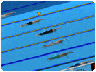 เกมส์แข่งว่ายน้ำทีมชาติ Swimming Pro