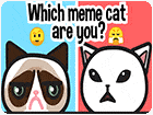 เกมส์ฉันเป็นแมวตัวไหนน้า Which meme cat are you Game
