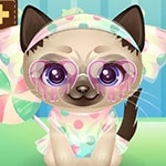 เกมส์ดูแลรักษาแมวเหมียว Adopt Your Pet Kitty