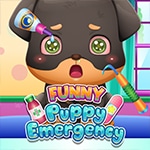 เกมส์รักษาลูกหมาน้อยสุดน่ารัก Funny Puppy Emergency Game