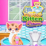เกมส์เจ้าหญิงตัวน้อยเลี้ยงแมว Little Princess Kitten Rescue Game