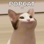 เกมส์ป็อปแคท POPCAT