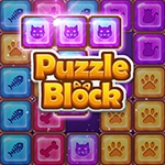 เกมส์วางบล็อคใส่ช่อง Puzzle Block