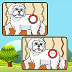 เกมส์จับผิดภาพน้องหมา 2 Dogs Spot The Differences 2