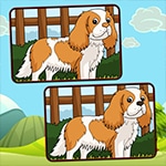 เกมส์จับผิดภาพสุนัขน่ารัก Dogs Spot The Differences