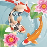 เกมส์เลี้ยงปลาแข่ง Koi Fish Pond – Idle Merge