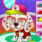 เกมส์เลี้ยงดูลูกสุนัข My Puppy Daycare Salon