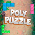 เกมส์วางบล็อกแสนสนุกฝึกสมอง Polypuzzle