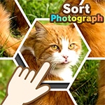 เกมส์สลับจิ๊กซอว์ปริศนา Sort Photograph